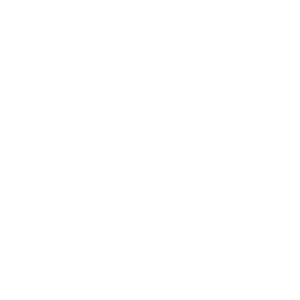 Social Tech Academy logo white