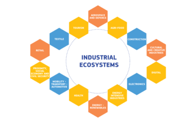 Social Good Accelerator commitments as part of the Transition Pathways: Building digital skills through and in the social economy